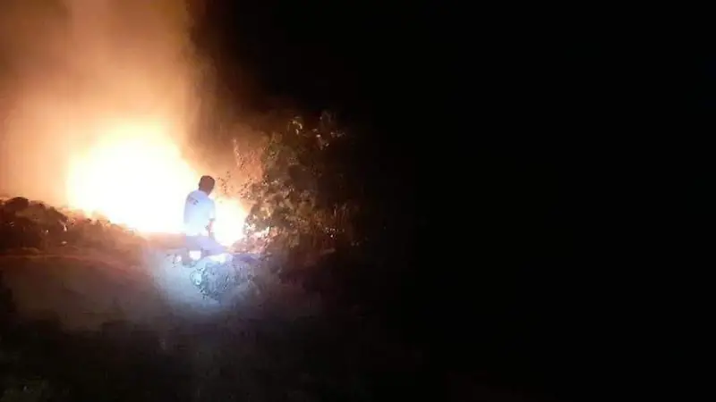 fuego